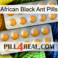 African Black Ant Pills levitra2